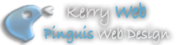 Web Design Kerry,  Pinguis Web Design,  Kerry Web Design 